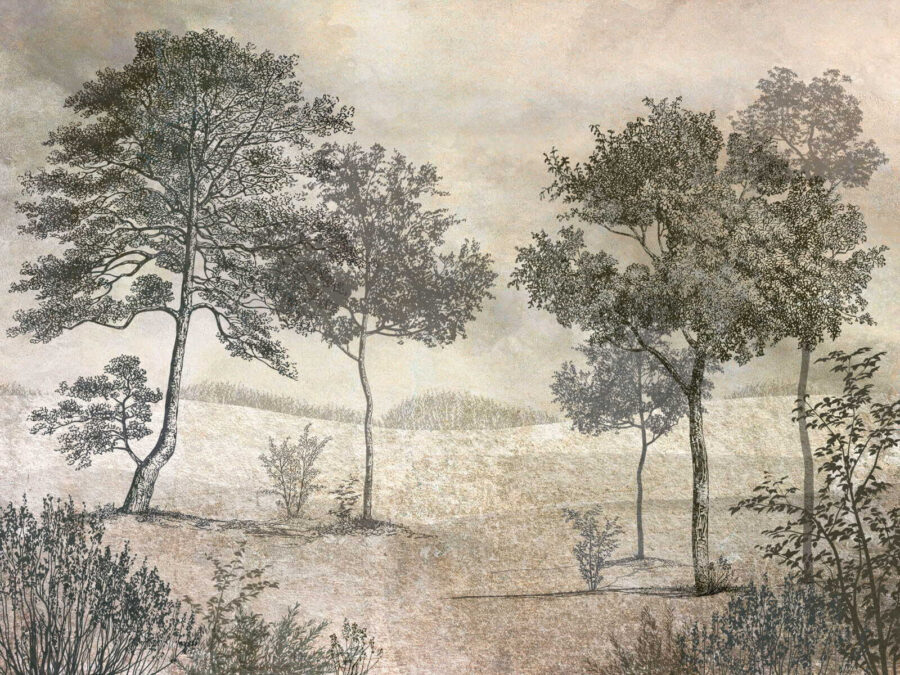 Drawing of trees in a field