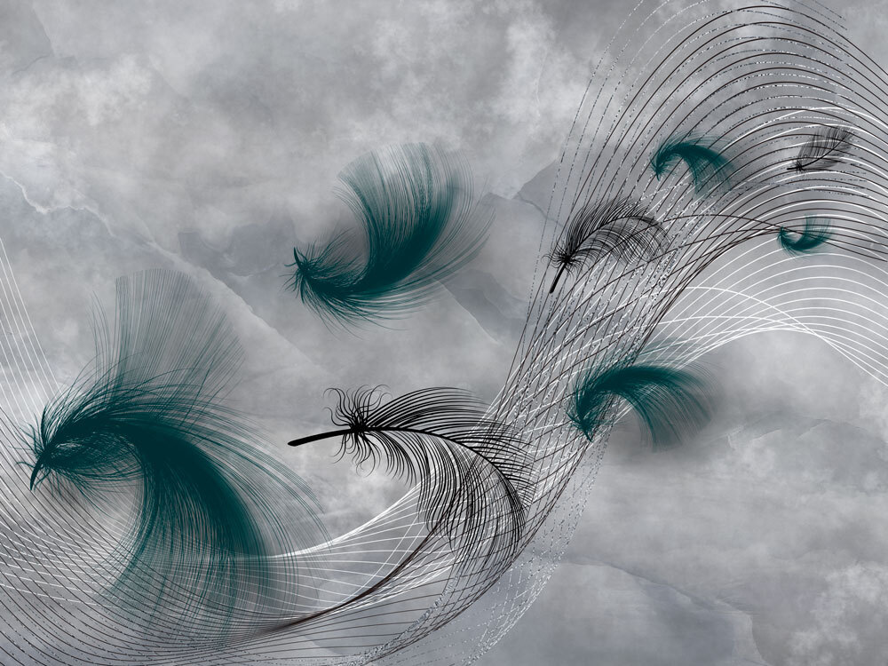 Elegant swirls of flowing feathers. Elegant swirls of flowing feathers.