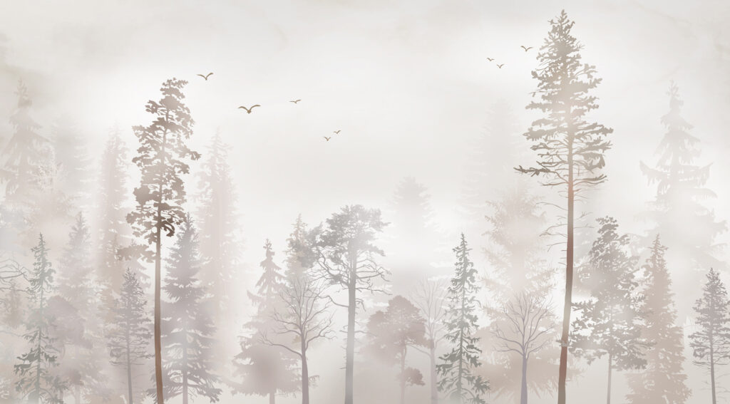 A group of trees in a foggy forest A group of trees in a foggy forest