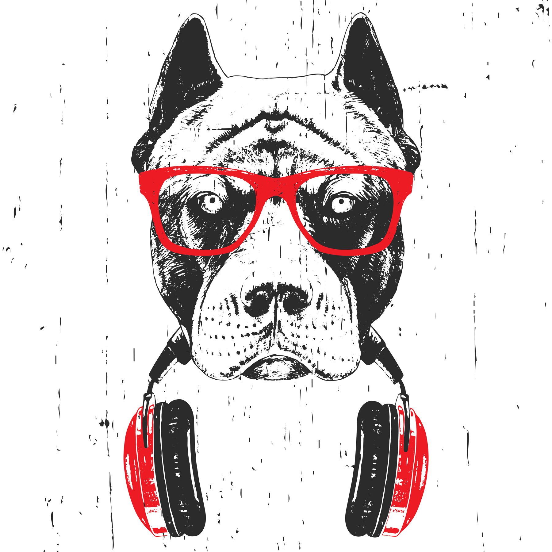 A dog wearing glasses and headphones A dog wearing glasses and headphones