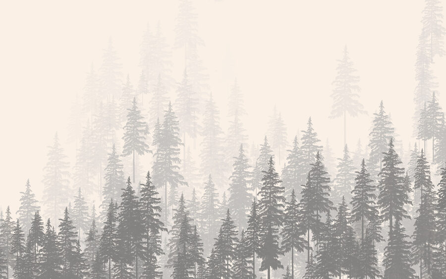 Wall murals A group of trees in a forest - Image 4