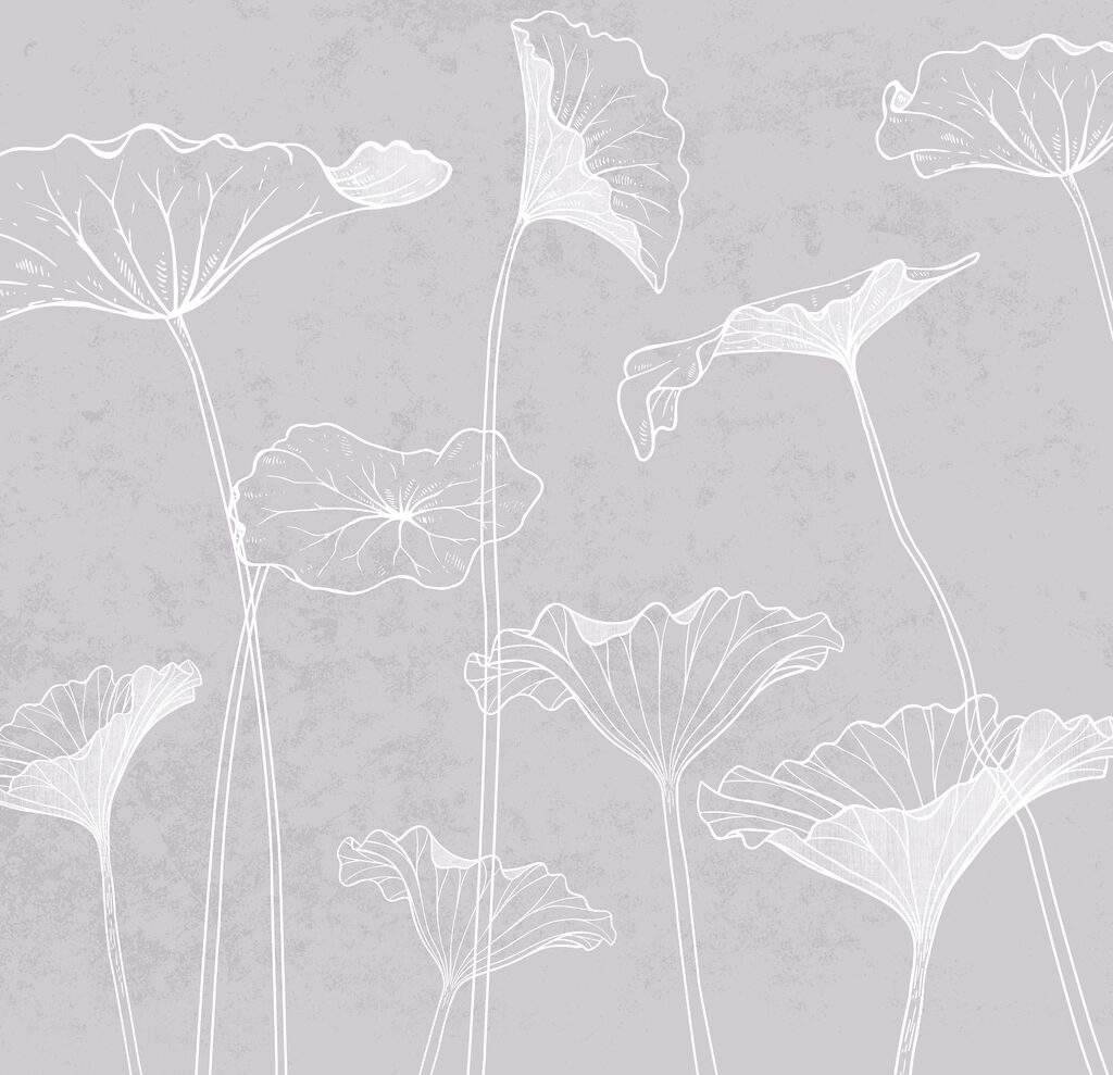 A white flowers on a gray background
