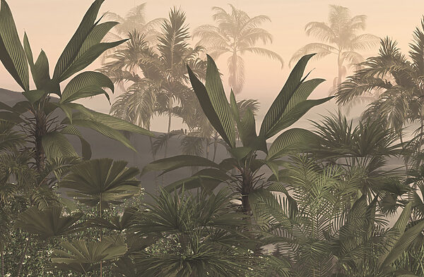 A group of palm trees in a foggy forest A group of palm trees in a foggy forest