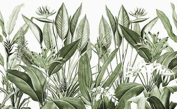 Lush greenery in delicate detail. Lush greenery in delicate detail.