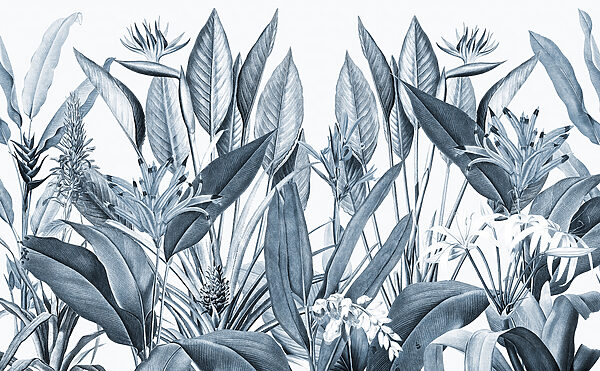 Tropical foliage in monochrome shades. Tropical foliage in monochrome shades.