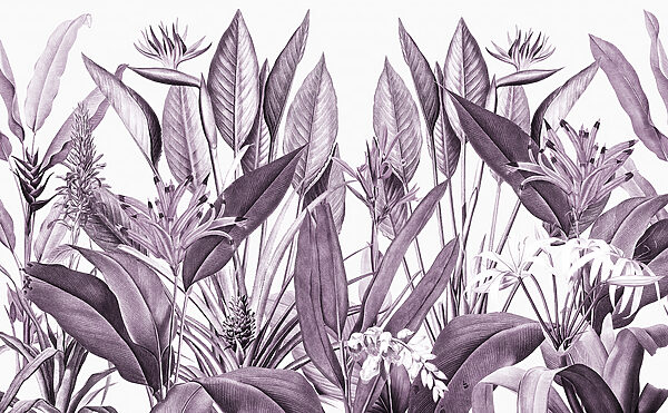 Elegant foliage in muted tones Elegant foliage in muted tones