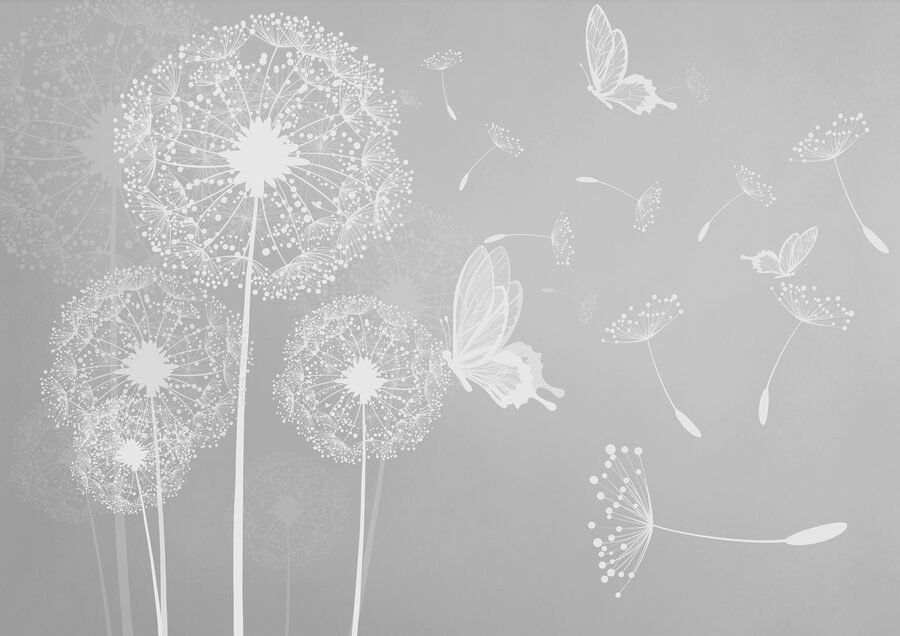 A white dandelions and butterflies