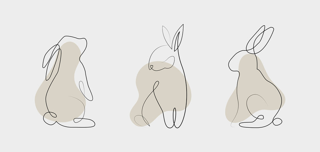 A line drawing of a rabbit A line drawing of a rabbit