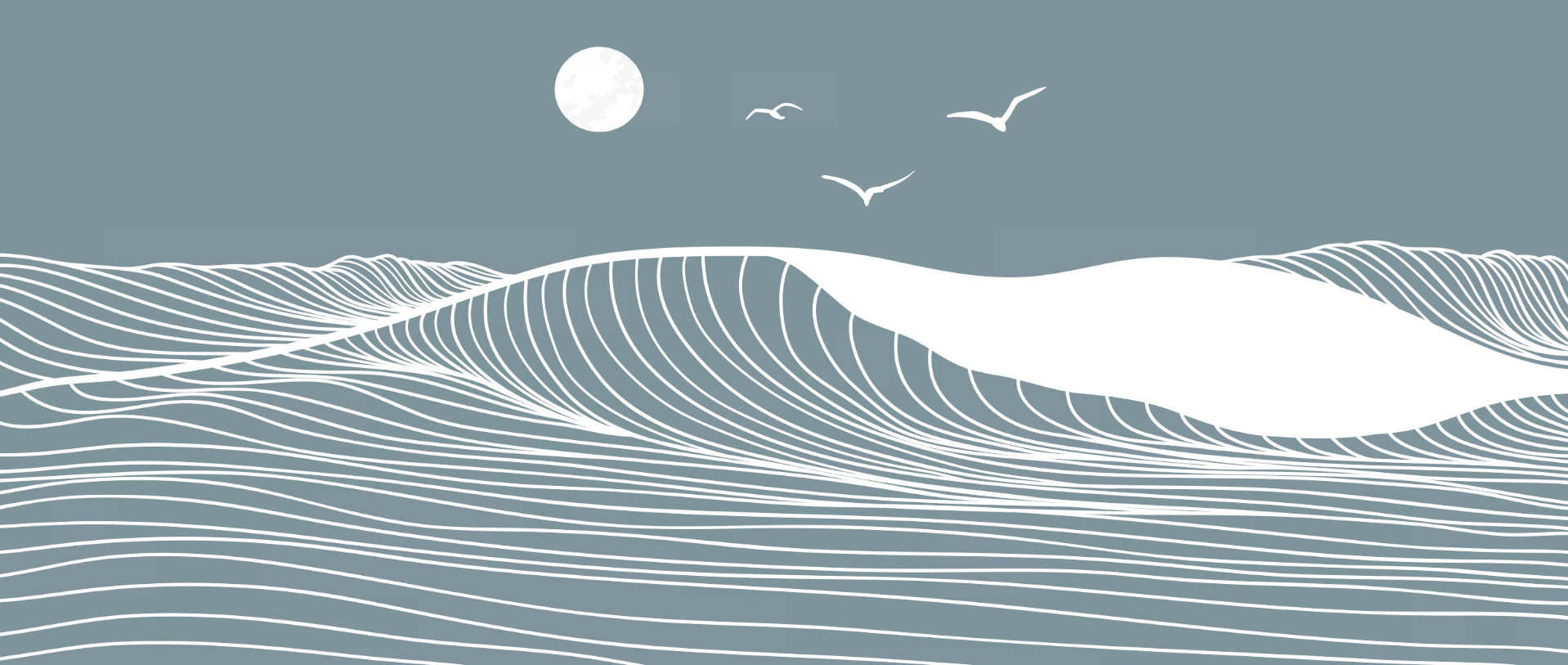 Waves and birds in the sky