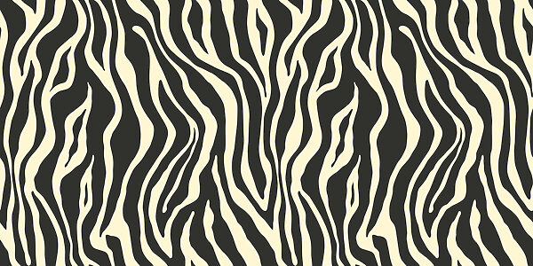 A black and white zebra print A black and white zebra print