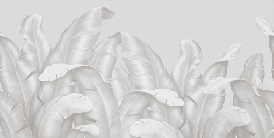 A group of white leaves A group of white leaves