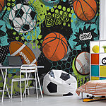 Wall murals A pattern of sports balls