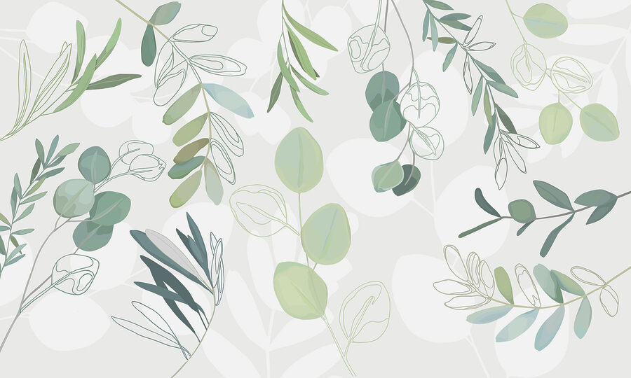 A close up of leaves