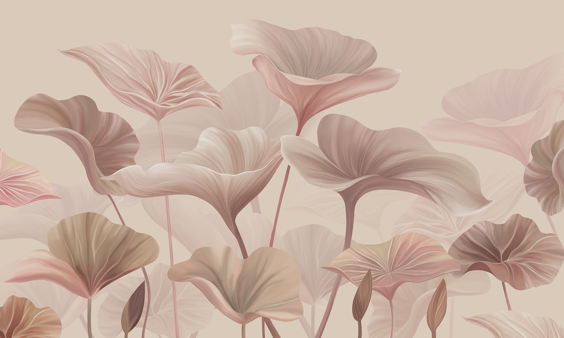 A close up of flowers A close up of flowers