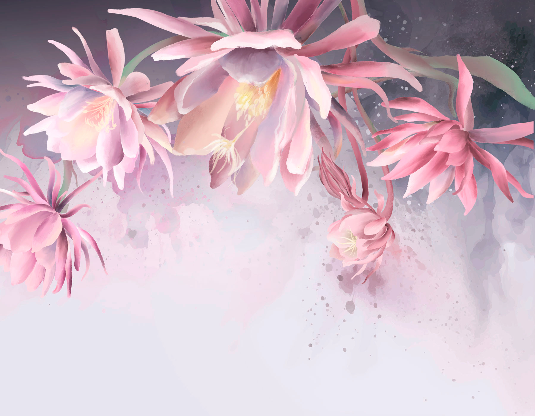 A group of pink flowers