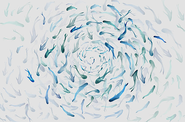 A group of fish swimming in a spiral A group of fish swimming in a spiral
