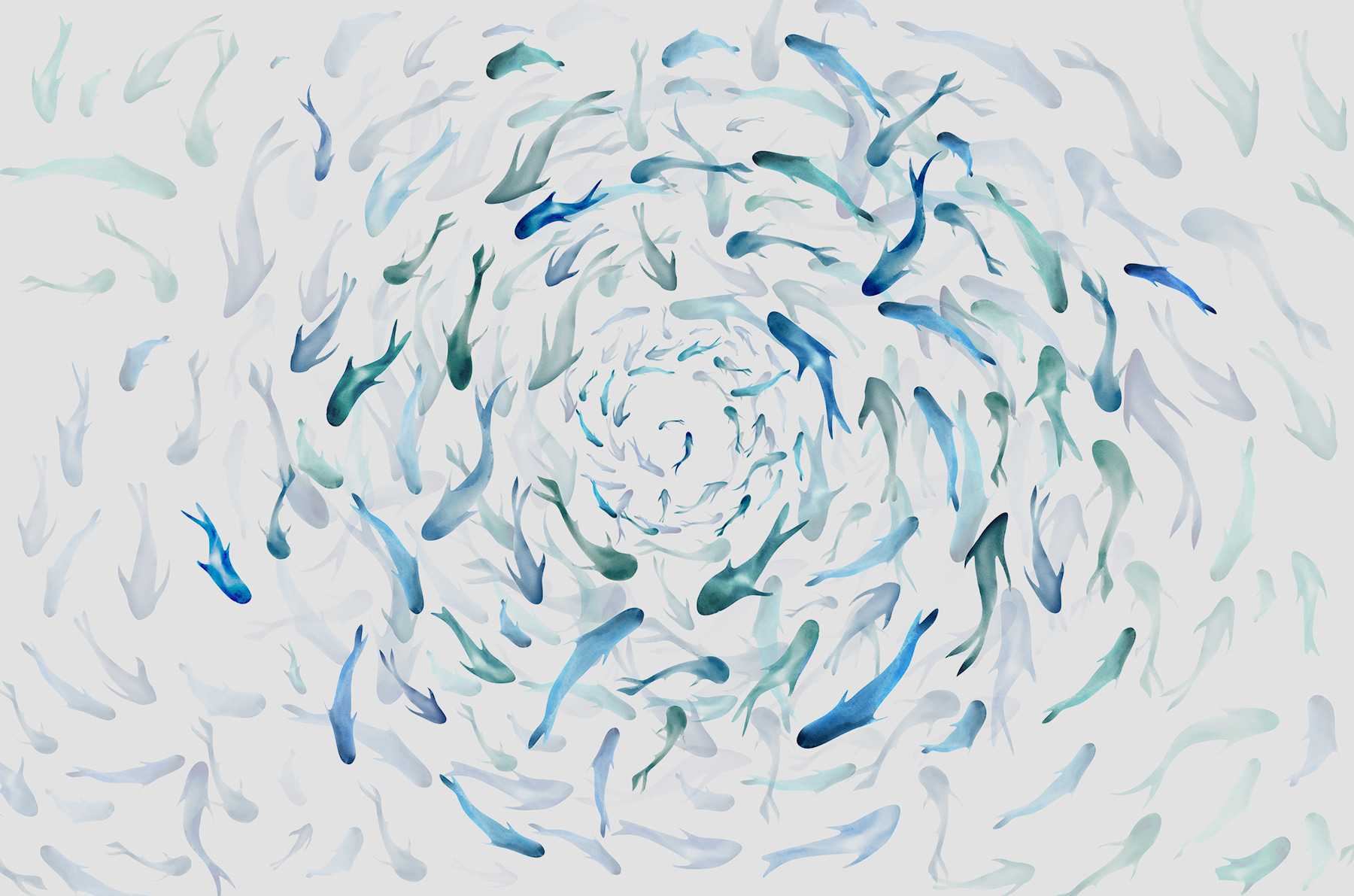 w00510p - A group of fish swimming in a spiral - tegory