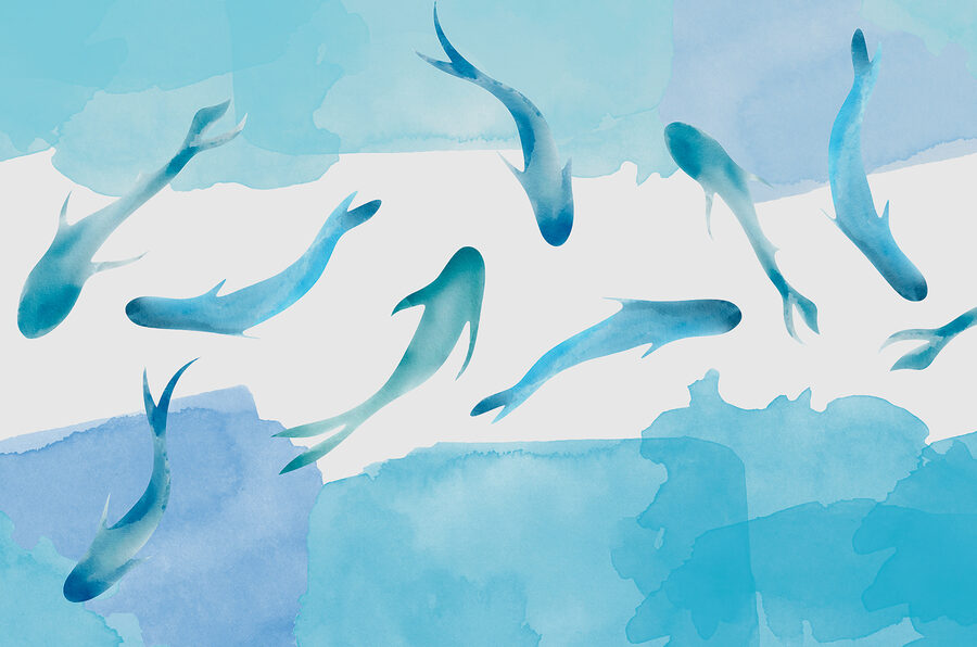 A group of blue fish swimming in water