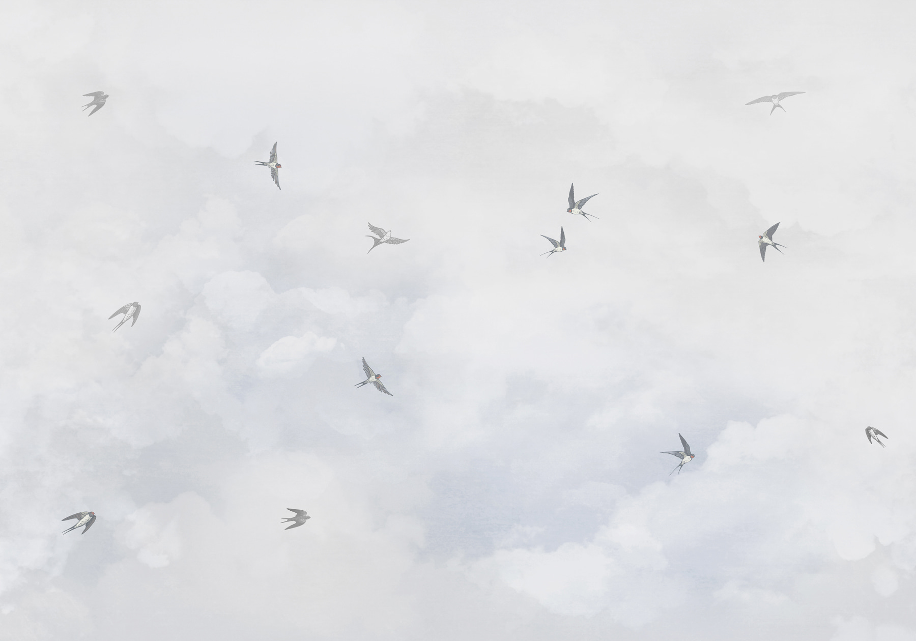 A group of birds flying in the sky w00526p - A group of birds flying in the sky - tegory