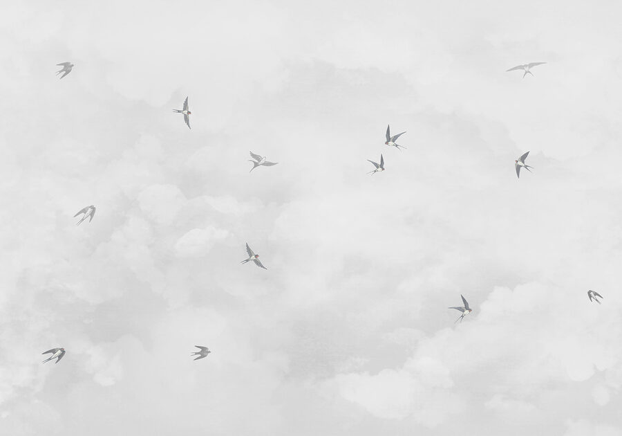 A group of birds flying in the sky