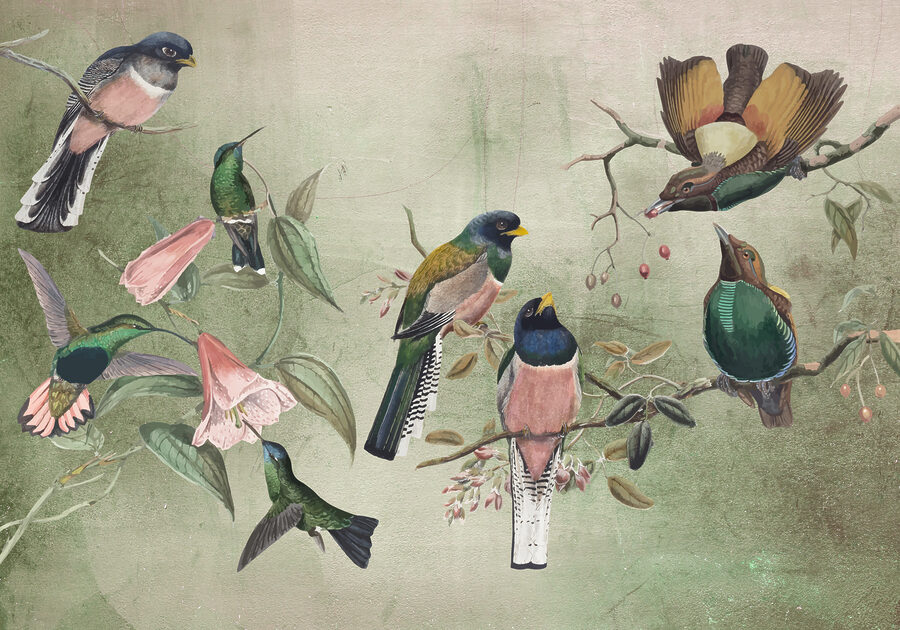 A group of birds on a branch A group of birds on a branch