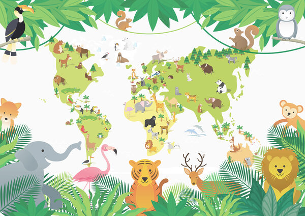 A map of animals and plants A map of animals and plants