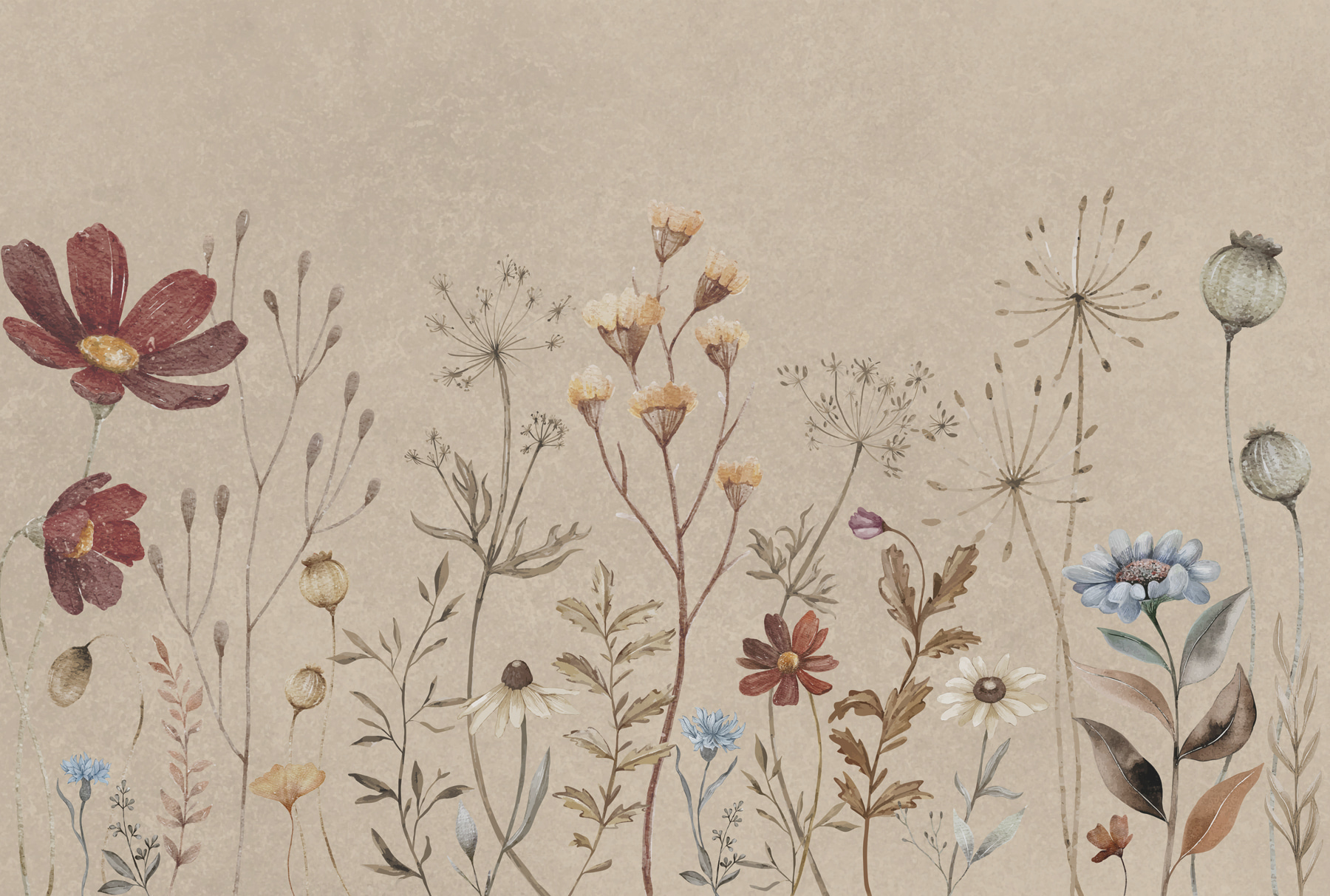 w00580p - A close up of flowers - tegory