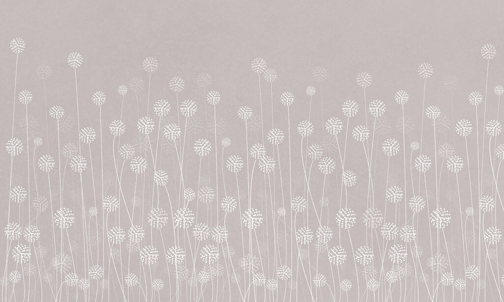 A white flowers on a gray background A white flowers on a gray background
