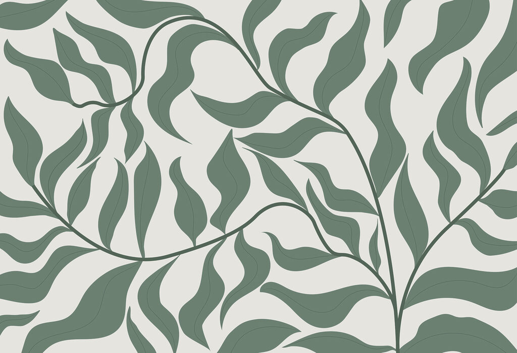 A green leaves on a white background A green leaves on a white background