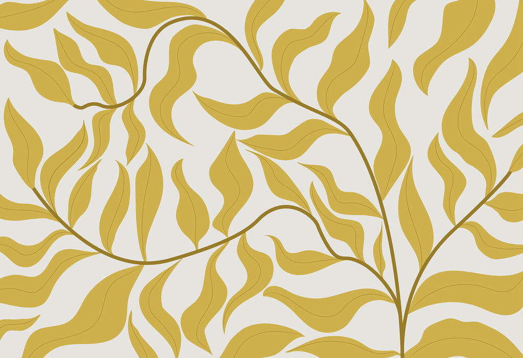 A yellow leaves on a white background A yellow leaves on a white background