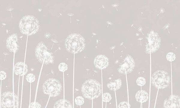A white dandelions flying in the air A white dandelions flying in the air