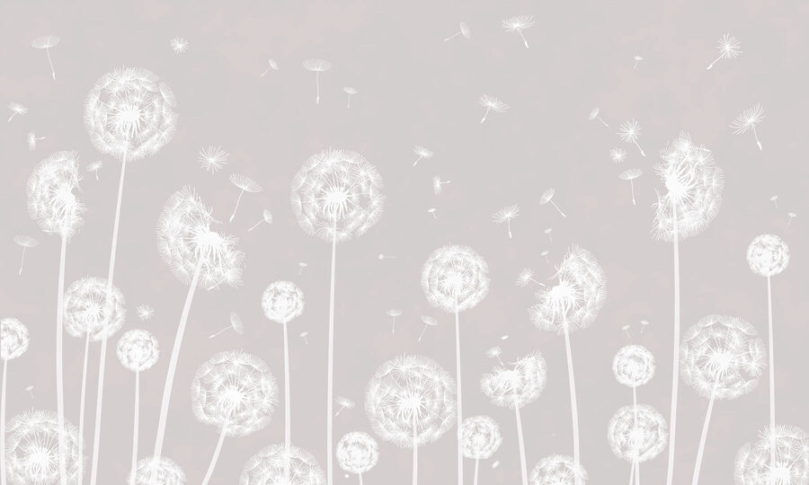 A white dandelions flying in the air A white dandelions flying in the air