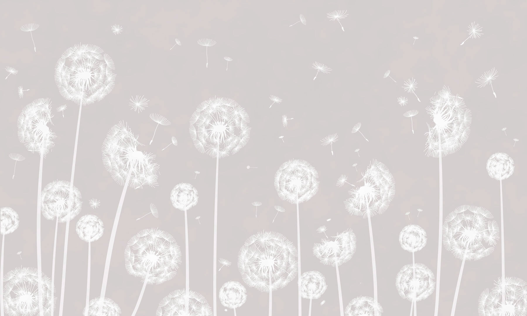 A white dandelions flying in the air w00657p - A white dandelions flying in the air - tegory