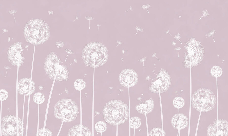 A white dandelions flying in the air