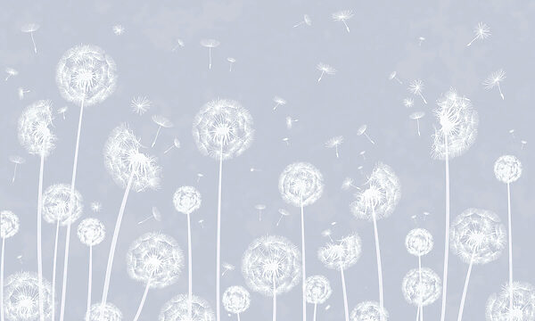 A white dandelions flying in the air A white dandelions flying in the air