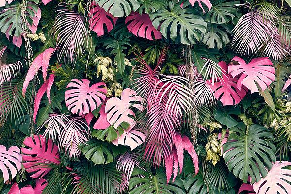 Group of pink and green leaves Group of pink and green leaves
