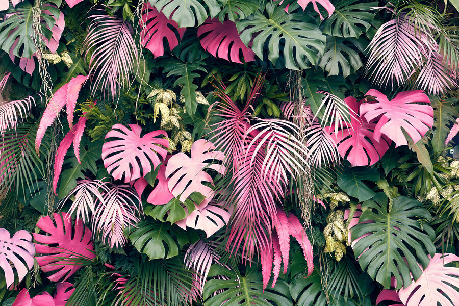 Group of pink and green leaves Group of pink and green leaves