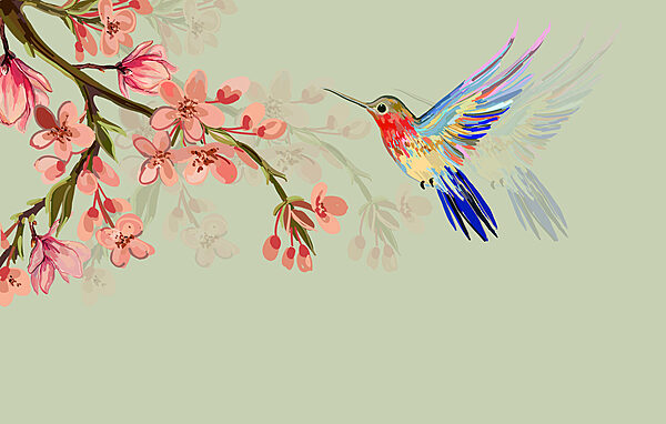 w00693p 600x382 - A bird flying next to flowers - tegory