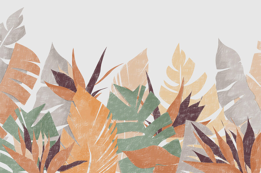 A group of leaves on a white background