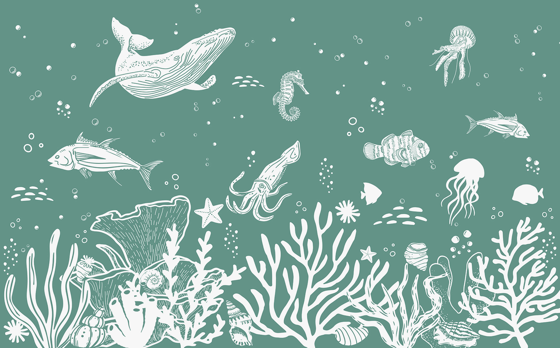 A white outline of sea animals A white outline of sea animals