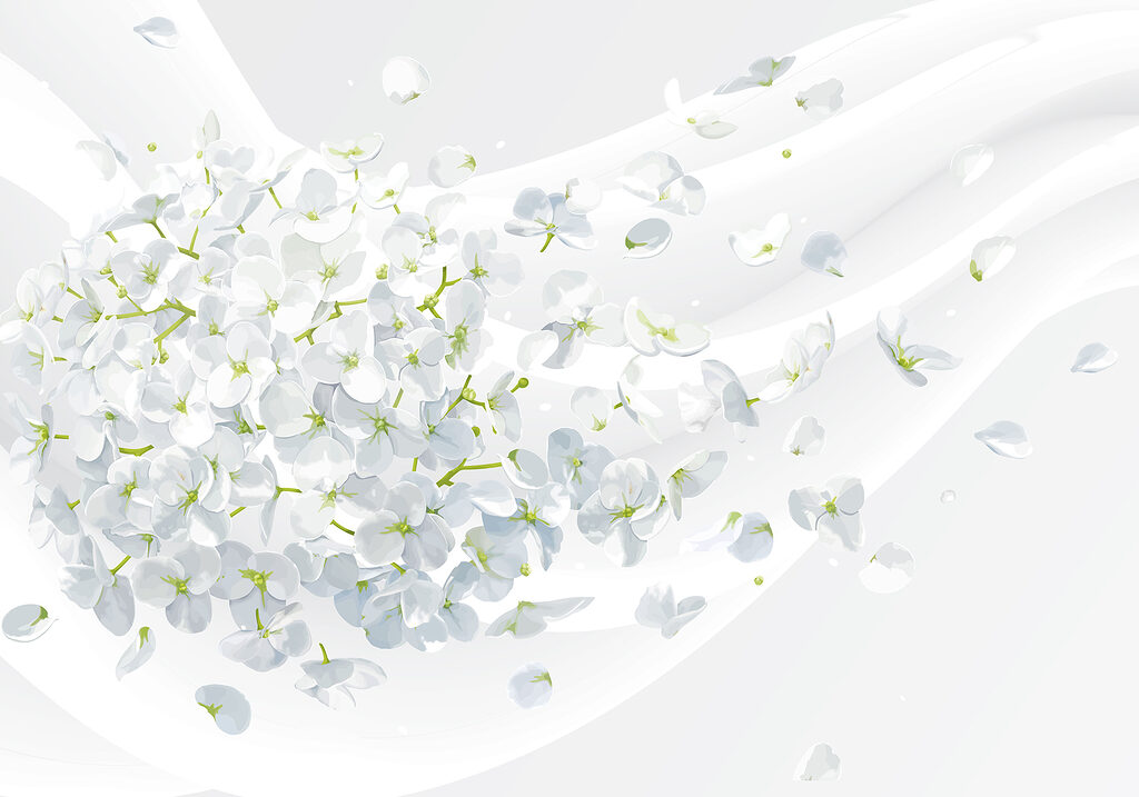 A white flowers flying in the air