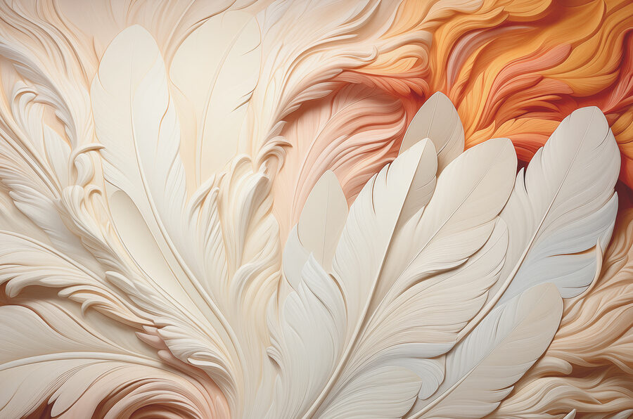 A close up of feathers A close up of feathers