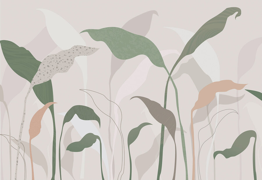A close up of plants