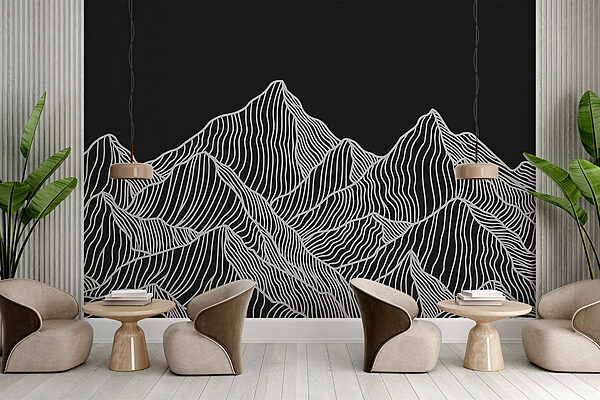 A black and white mountain range
