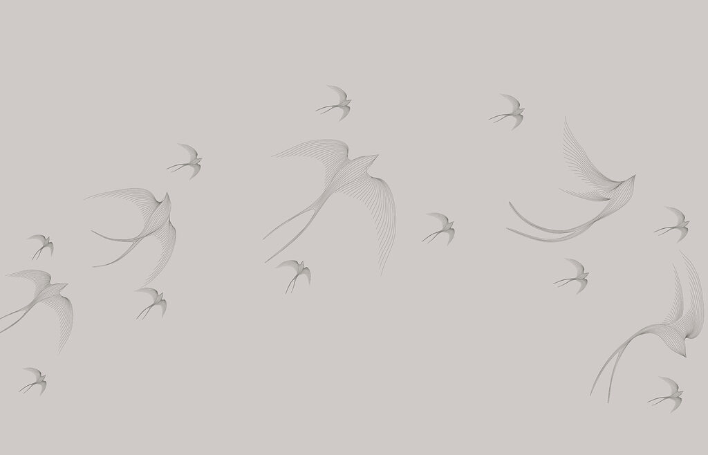 A group of birds flying A group of birds flying