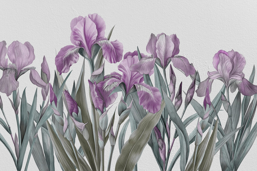 A group of purple flowers