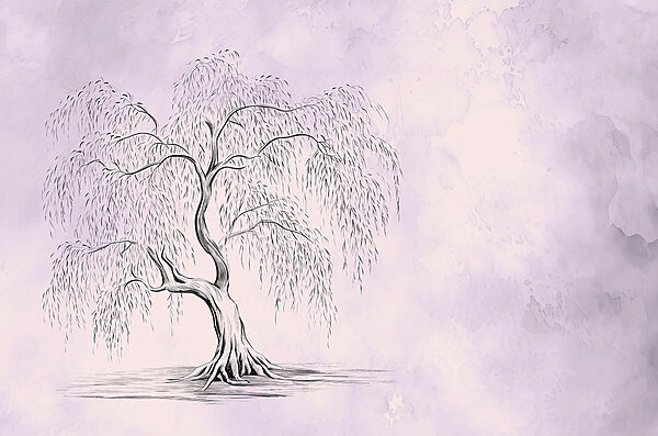 Tree with a weeping willow Tree with a weeping willow