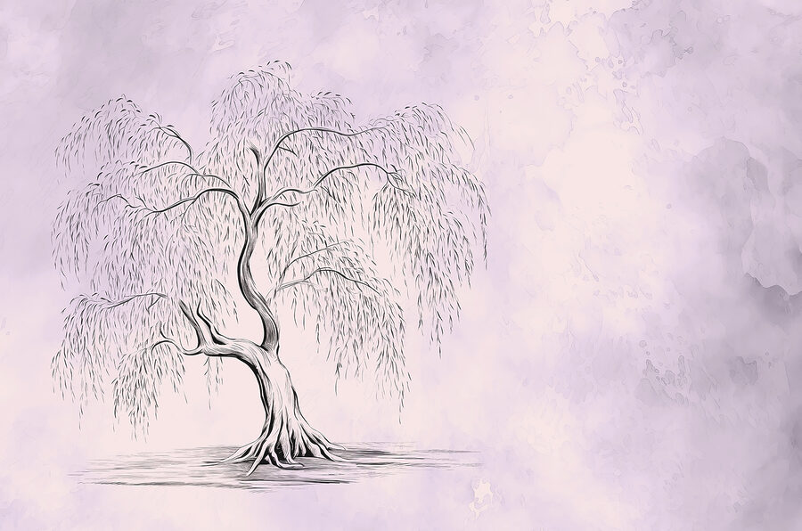 Tree with a weeping willow