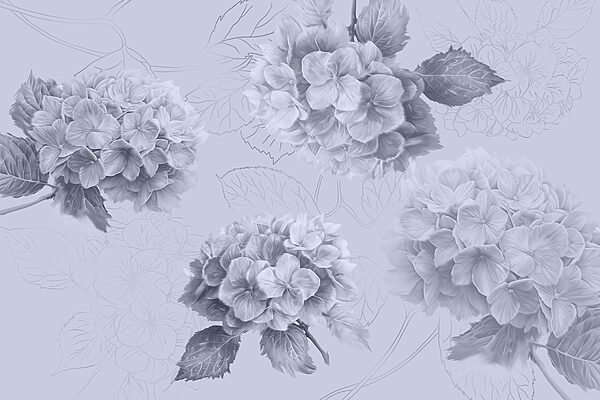 Group of flowers on a light background