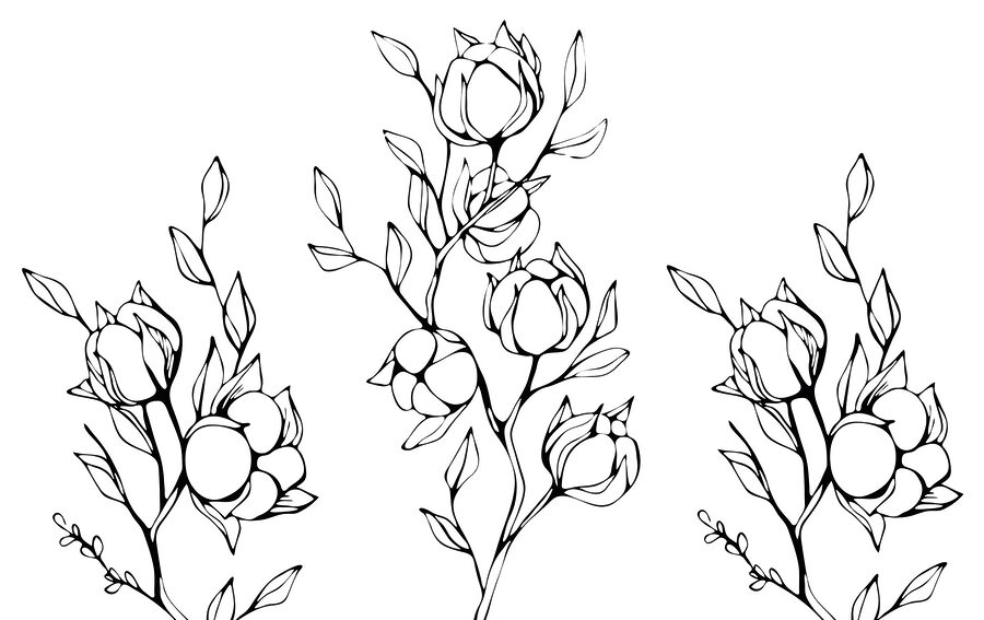Wall murals Black and white drawing of flowers and leaves - Image 3